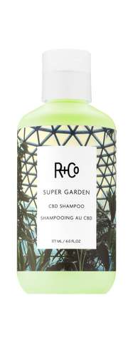 R+CO SUPER GARDEN / CBD Shampoo 177ml