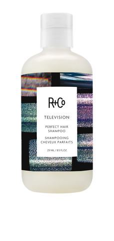 R+Co TELEVISION / Perfect Hair Shampoo 236ml